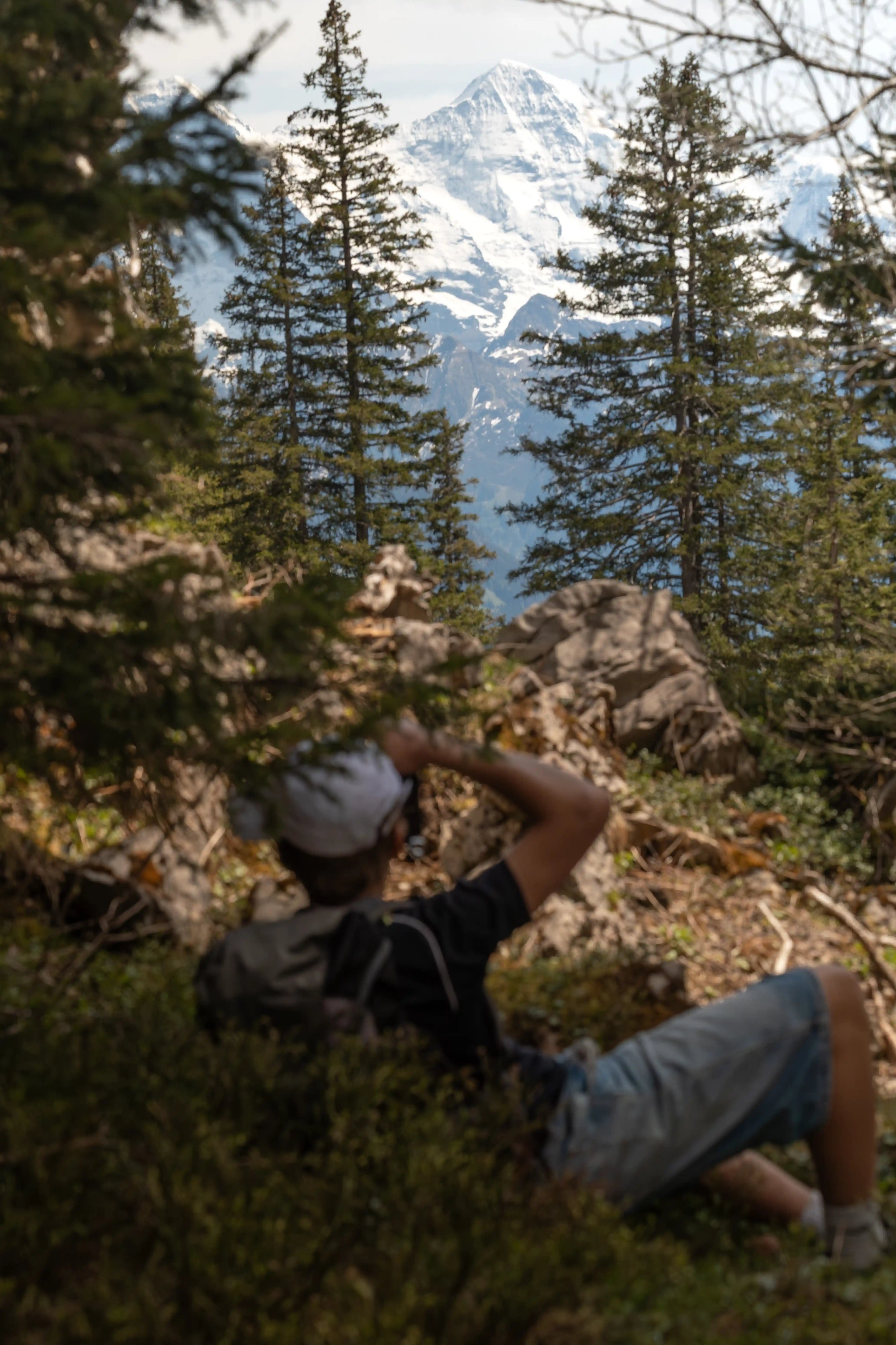 Person in foreground looks at snow-capped mountains
